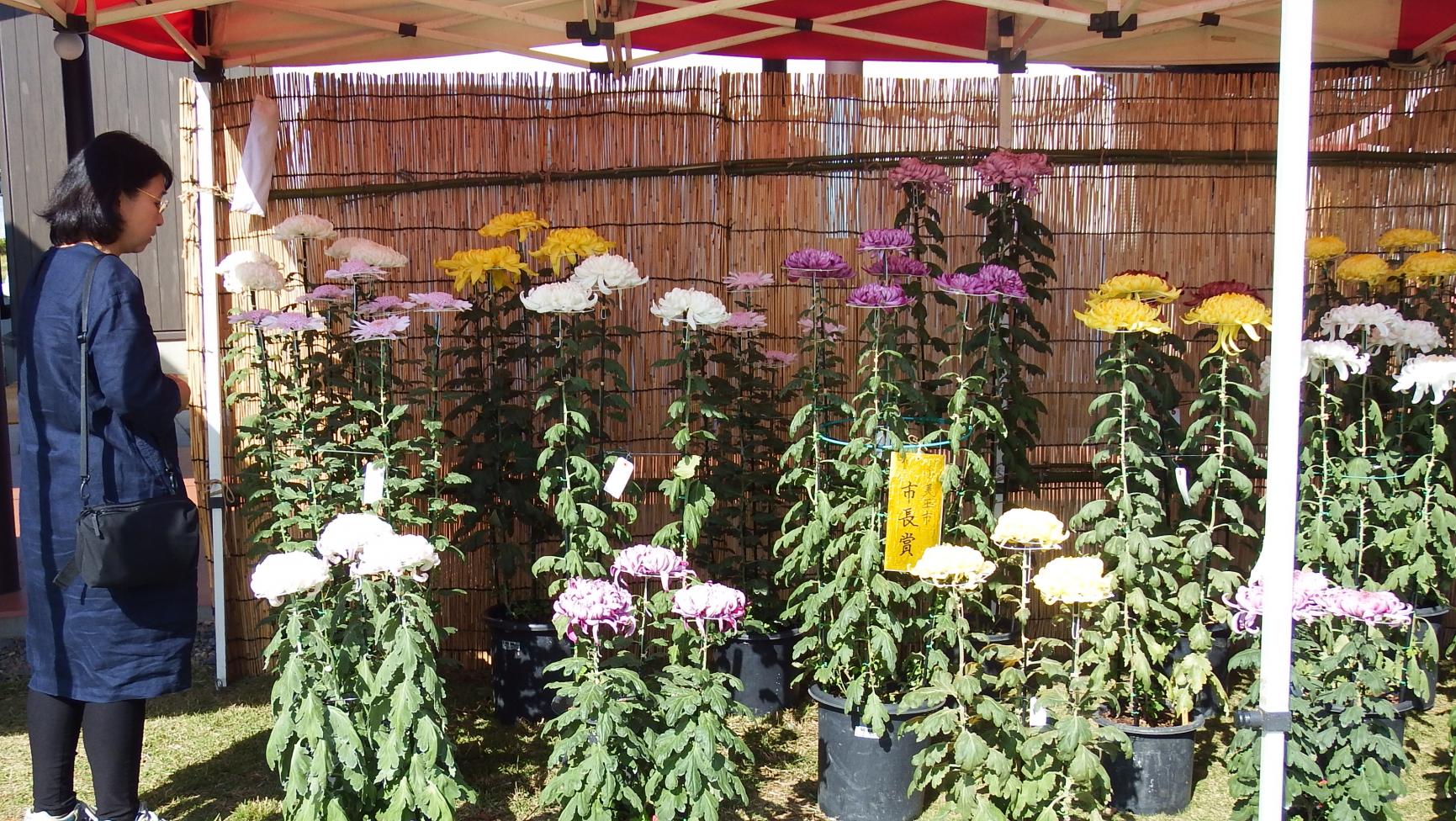 k1DSCF1901 k1DSCF1901