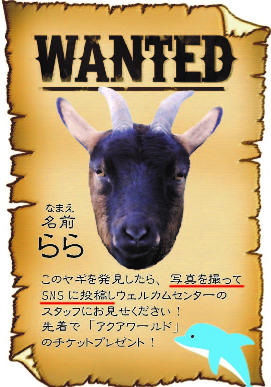 WANTEDらら WANTEDらら