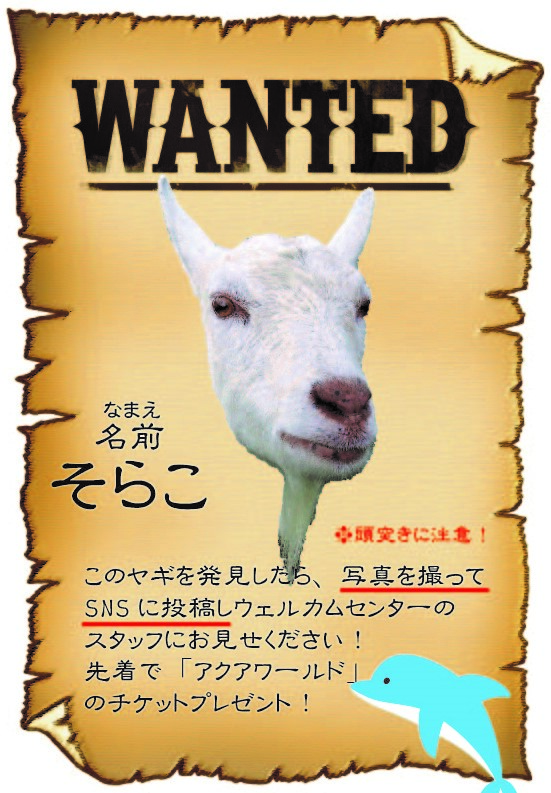 WANTEDそらこ WANTEDそらこ