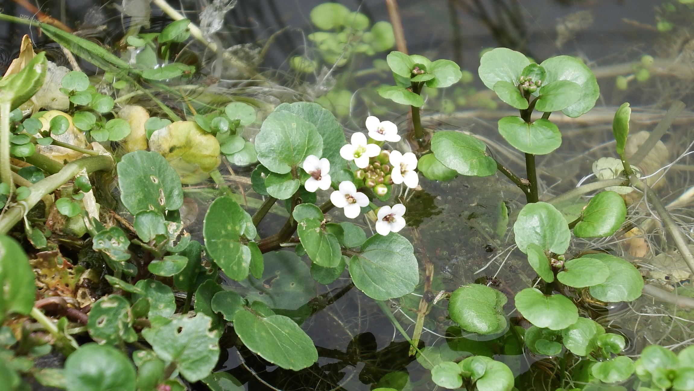 ★DSCF2495 ★DSCF2495