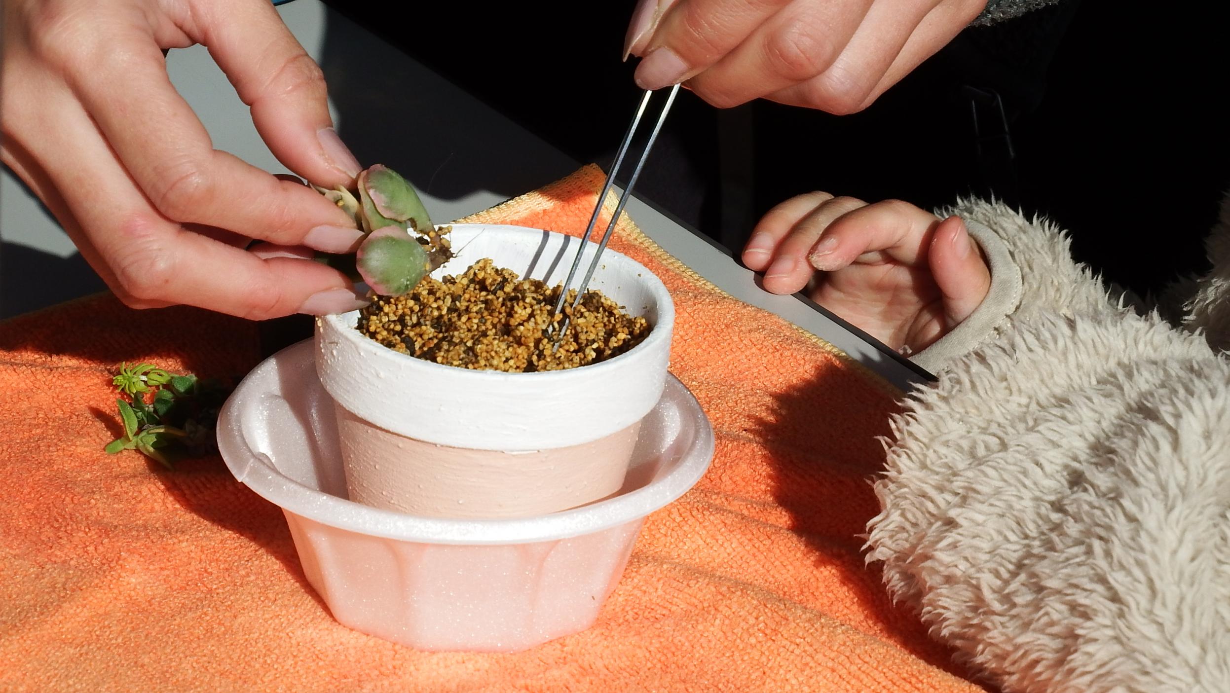 ★DSCF5439 ★DSCF5439