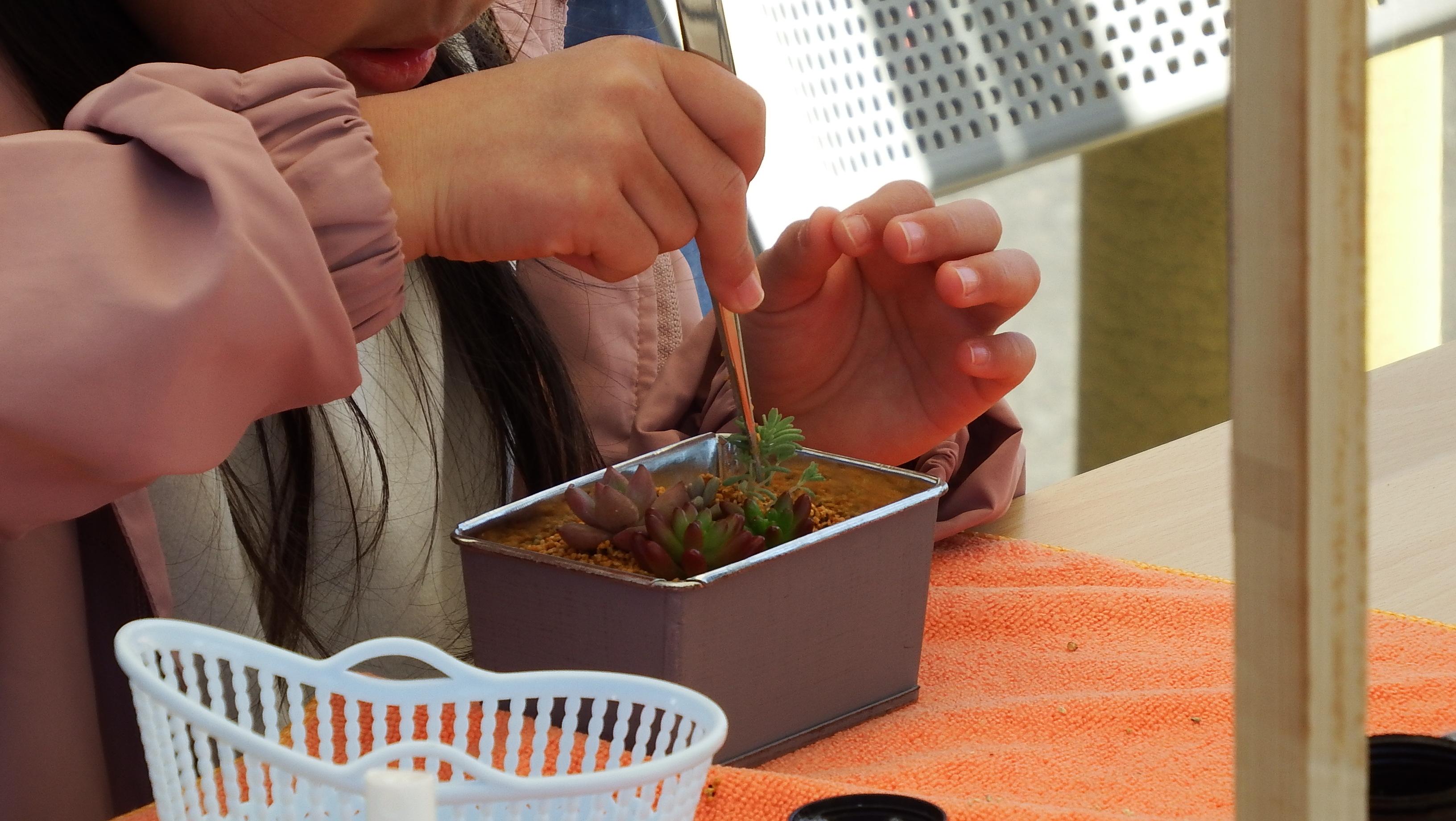 ★DSCF6099 ★DSCF6099