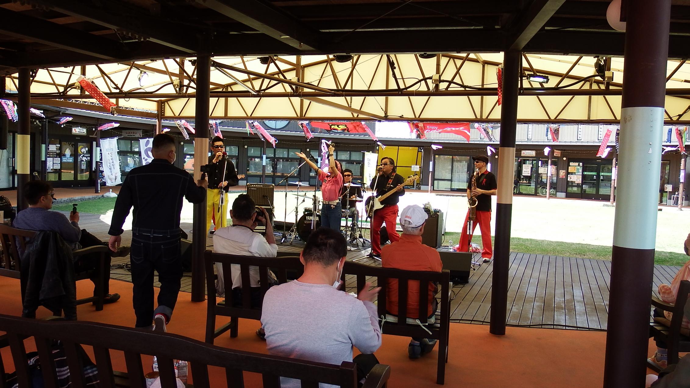 ハリーウッドペッカー写真2 ハリーウッドペッカー写真2