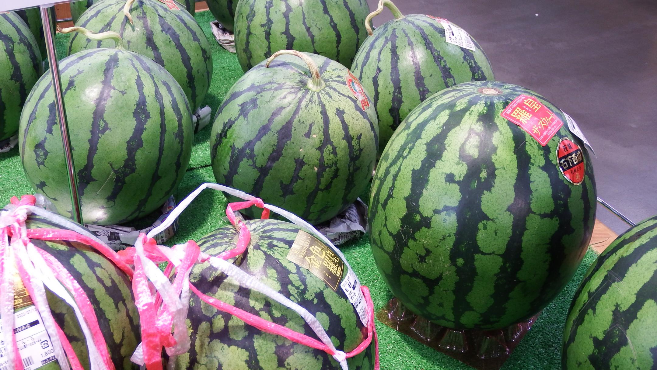 ★DSCF0513 ★DSCF0513