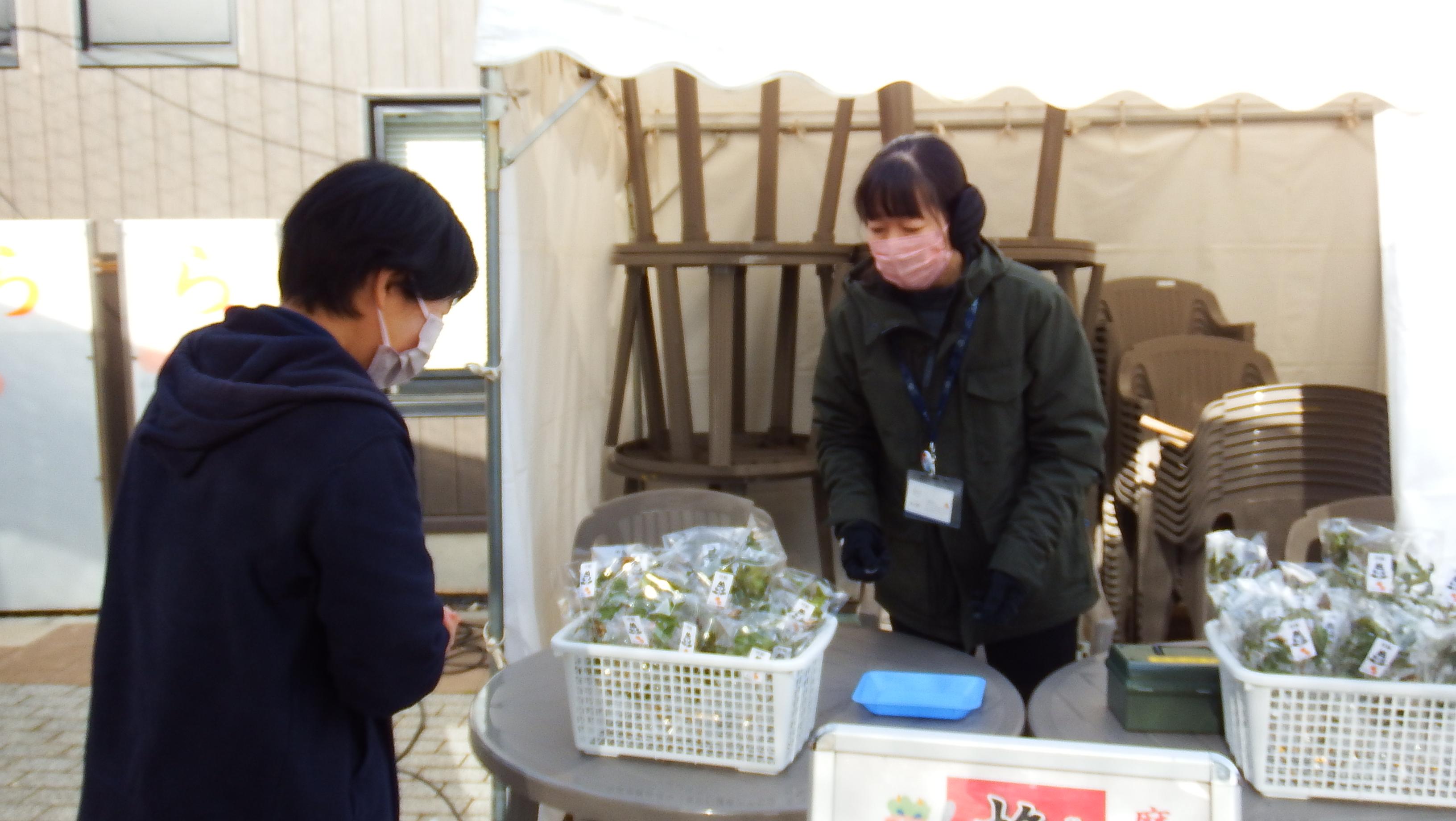 柊鰯販売写真 柊鰯販売写真
