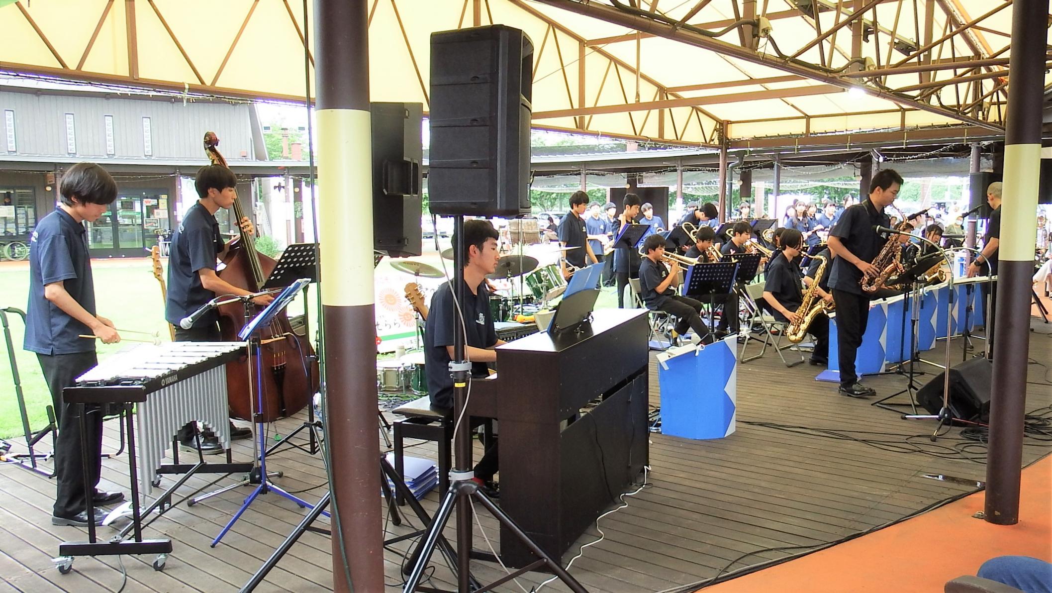 3ブルービギナーズ全体 3ブルービギナーズ全体