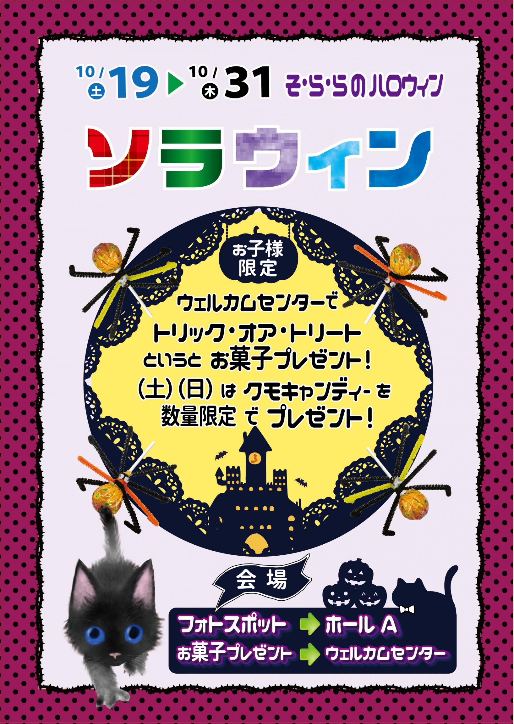 2024ソラウィンPOP- 2024ソラウィンPOP-