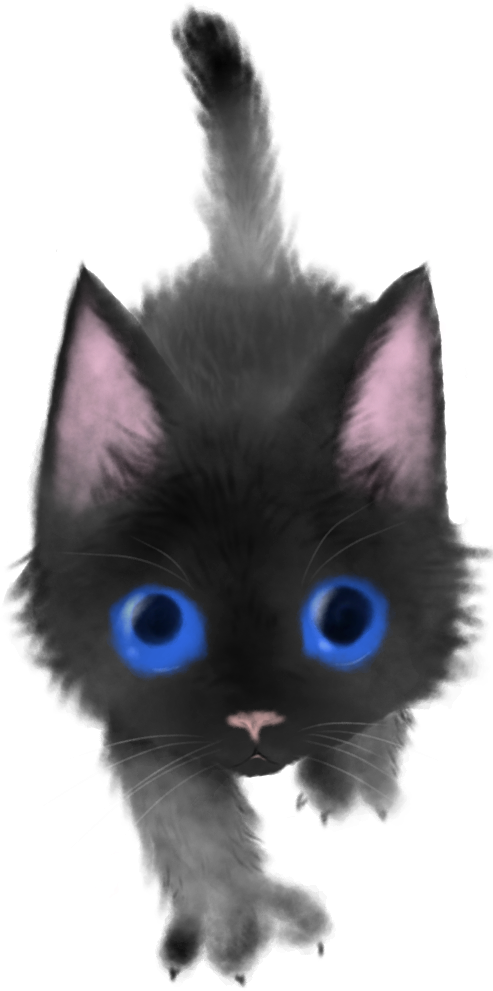 ふわふわ子黒猫 ふわふわ子黒猫
