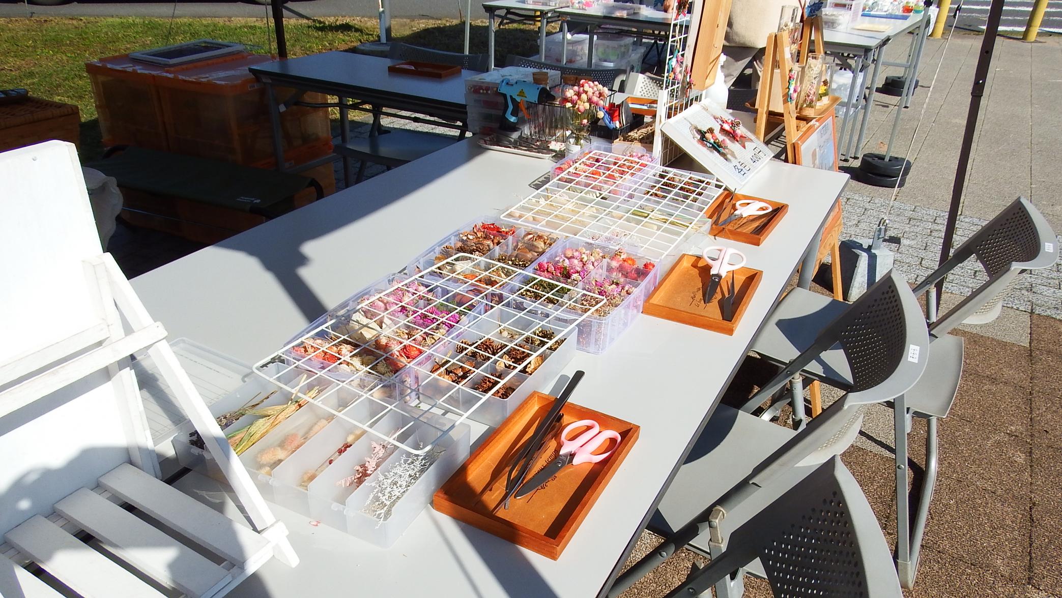 チャッピー写真 チャッピー写真