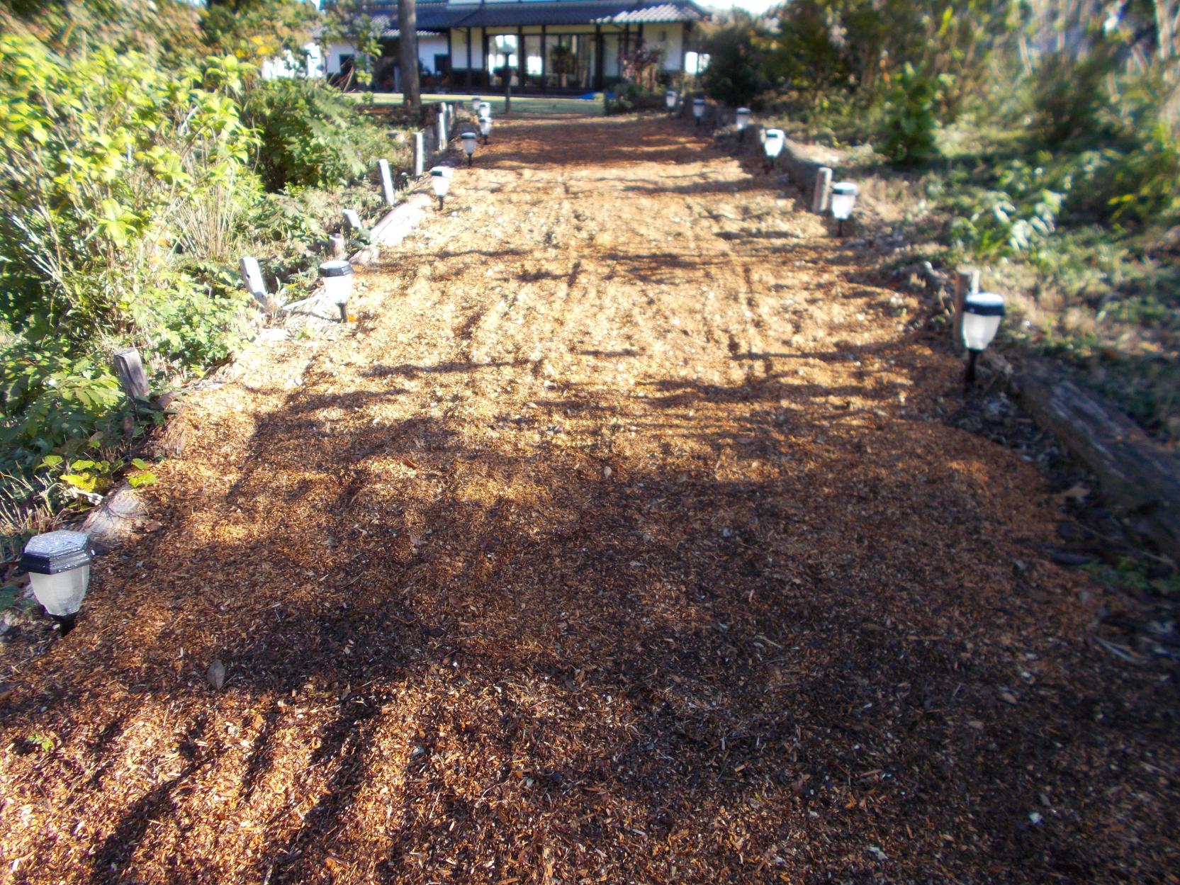 学芸棟通路チップ