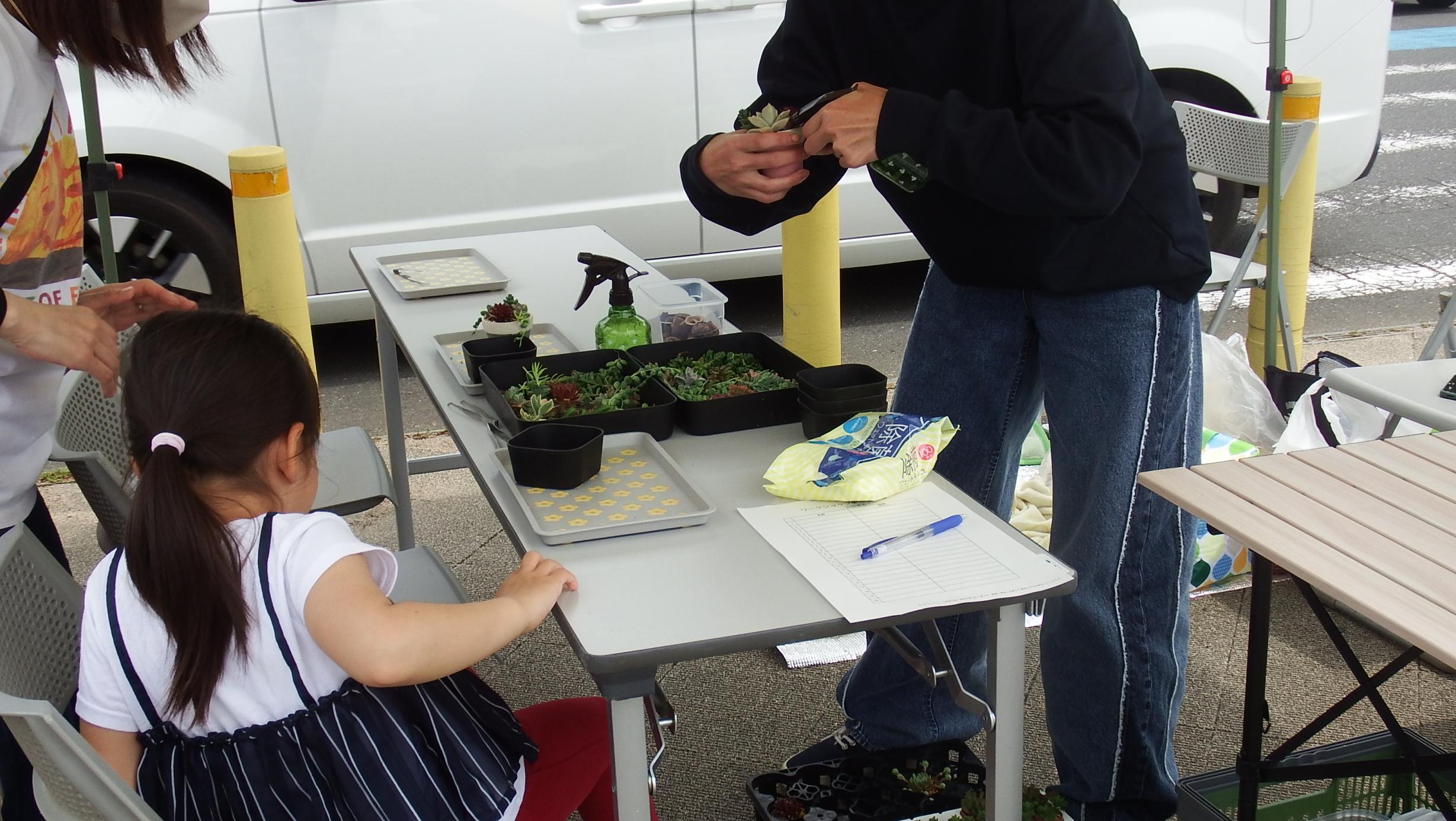 サキュレントハウス写真 サキュレントハウス写真