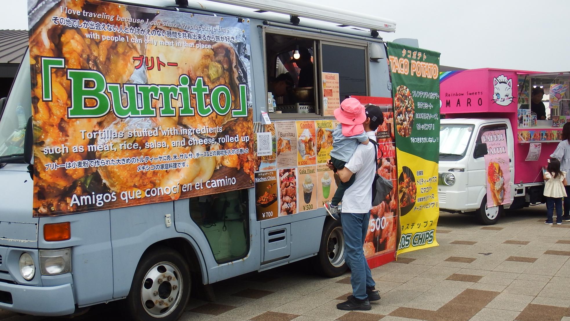 ポンキー写真 ポンキー写真