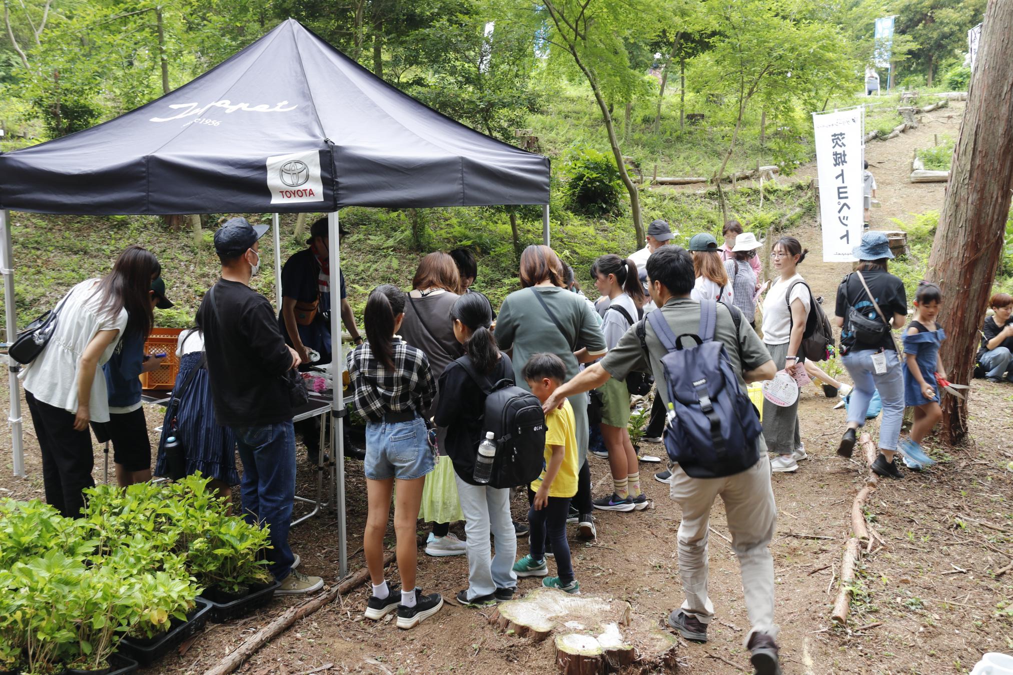 植樹会の様子