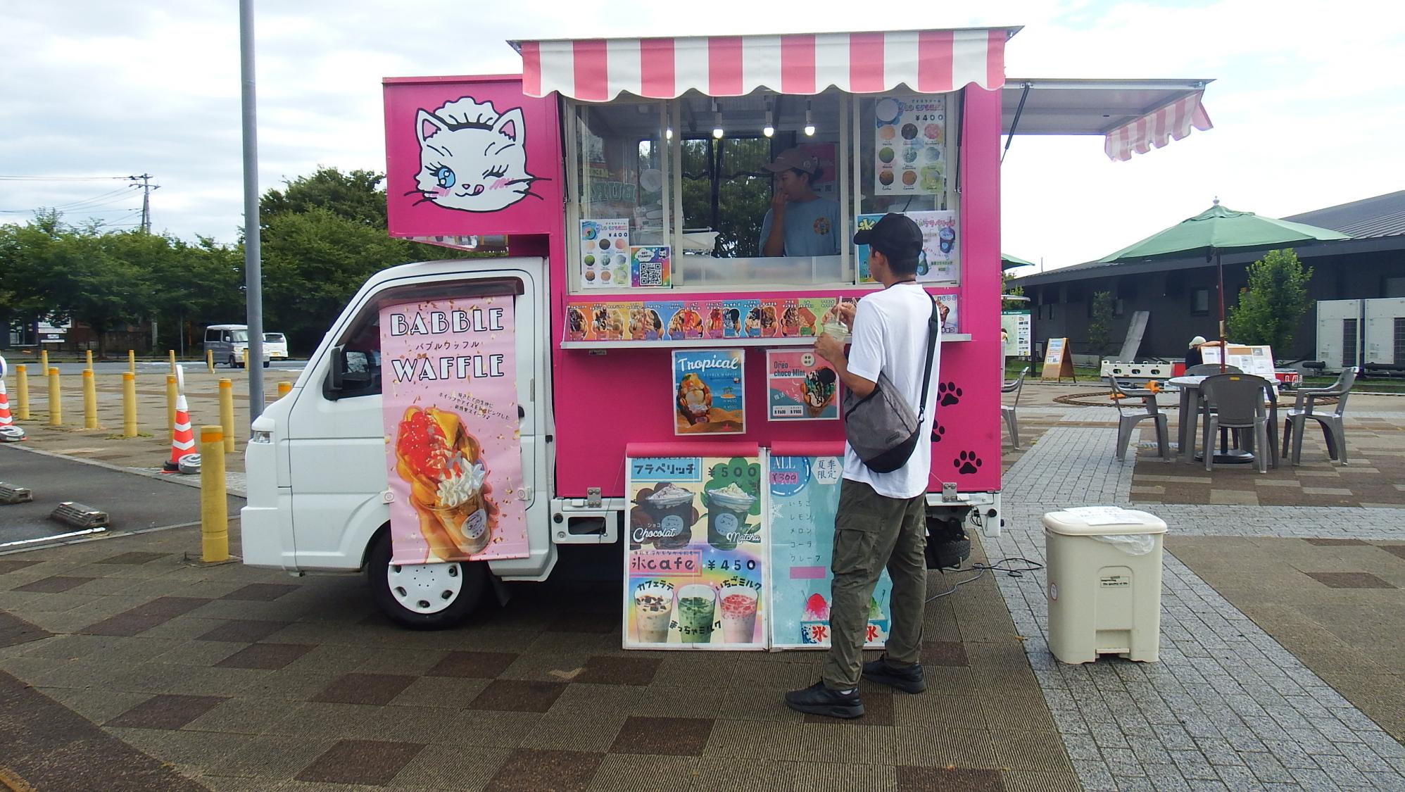 マロ写真 マロ写真