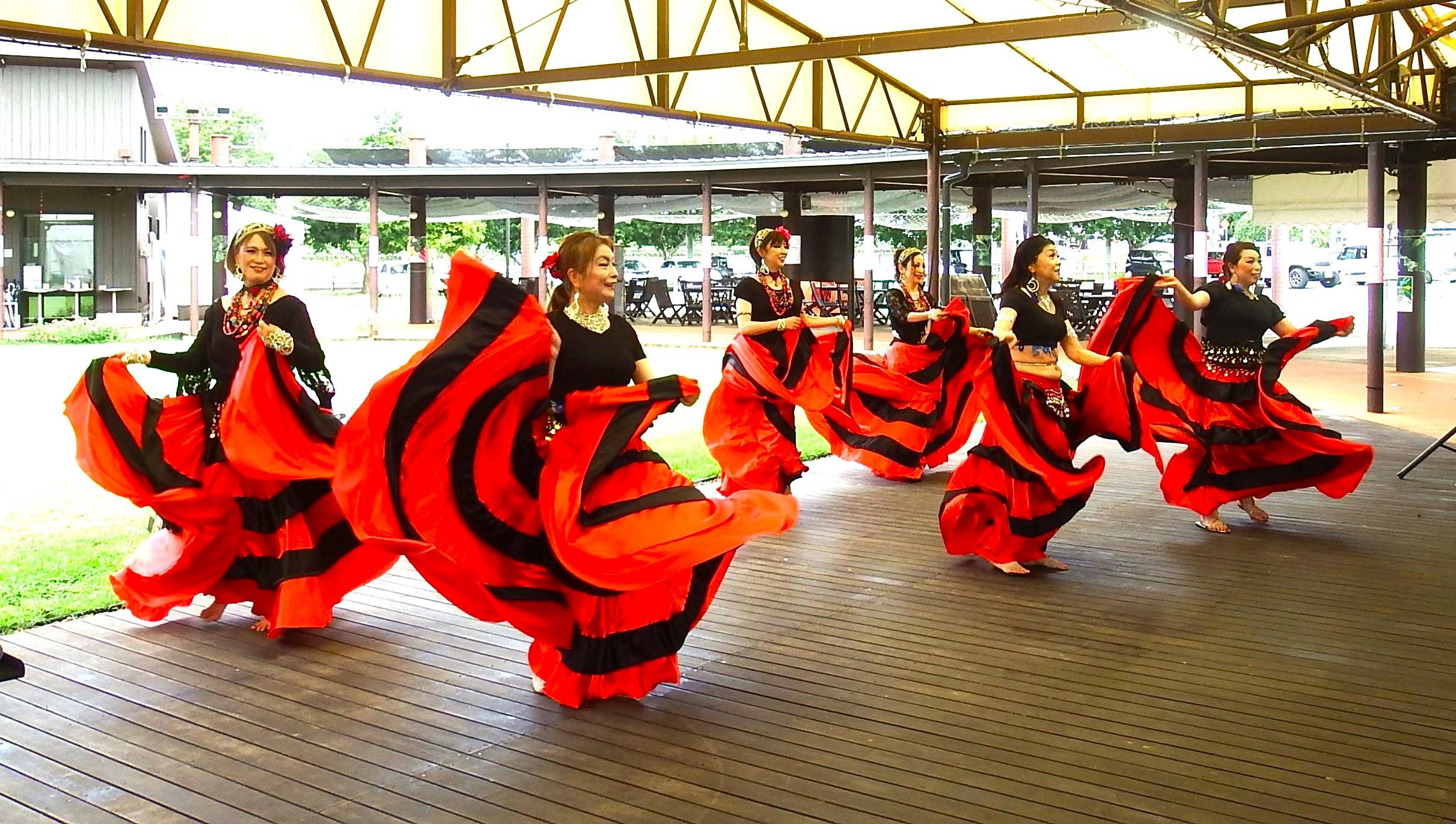 ★アルテシスDSCF7463