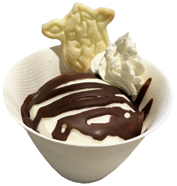 シングルアイスパリパリチョコソースがけ