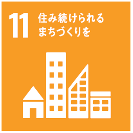 エスディーディーズ11