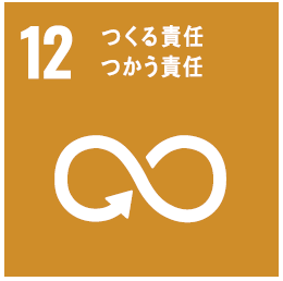 エスディーディーズ12