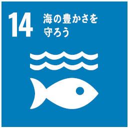 エスディーディーズ14