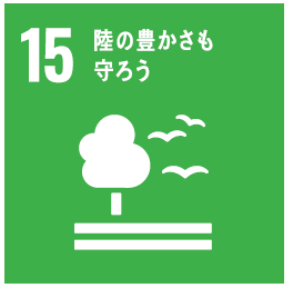 エスディーディーズ15