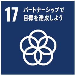 エスディーディーズ17