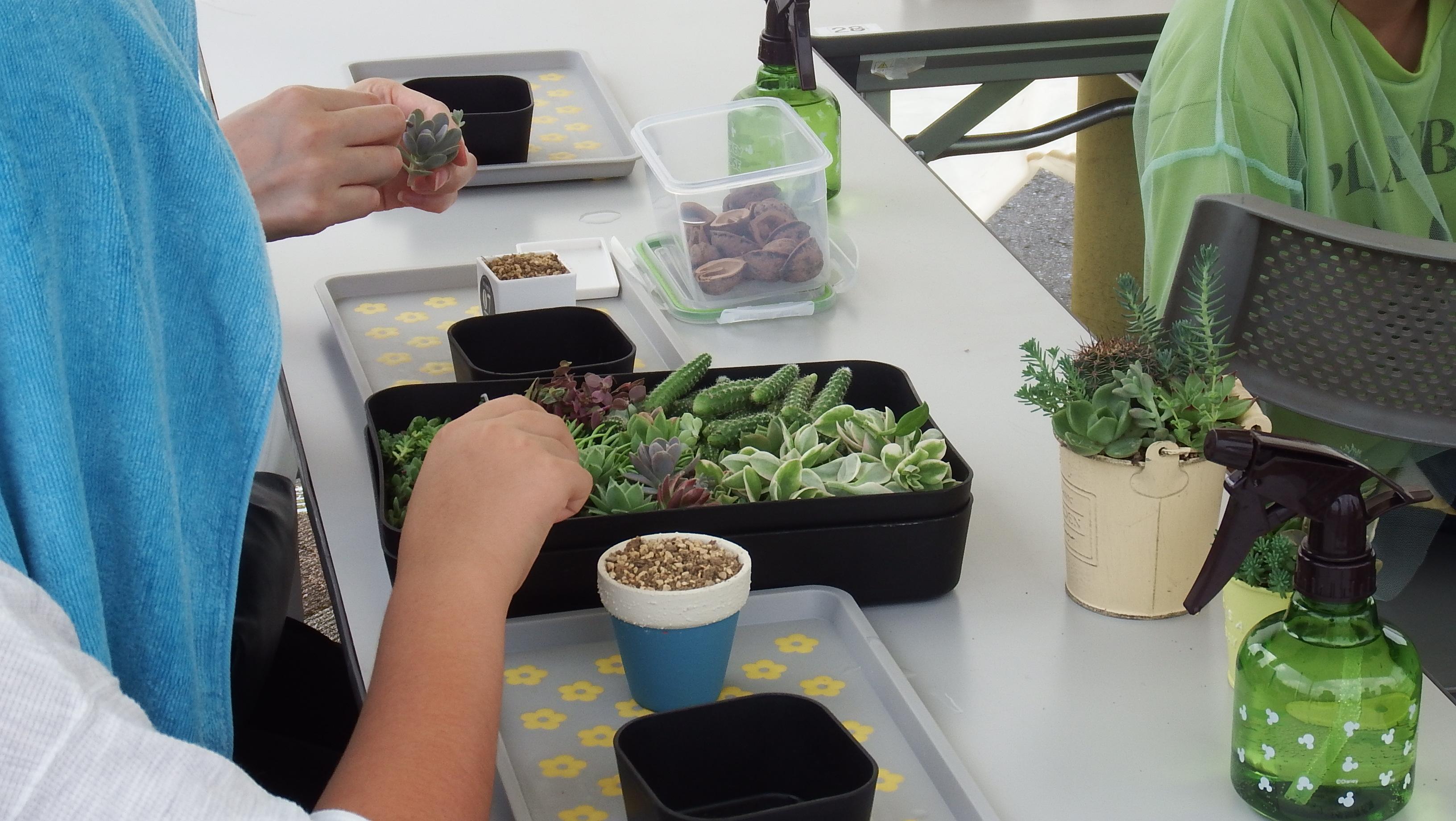 サキュレントハウス写真 サキュレントハウス写真