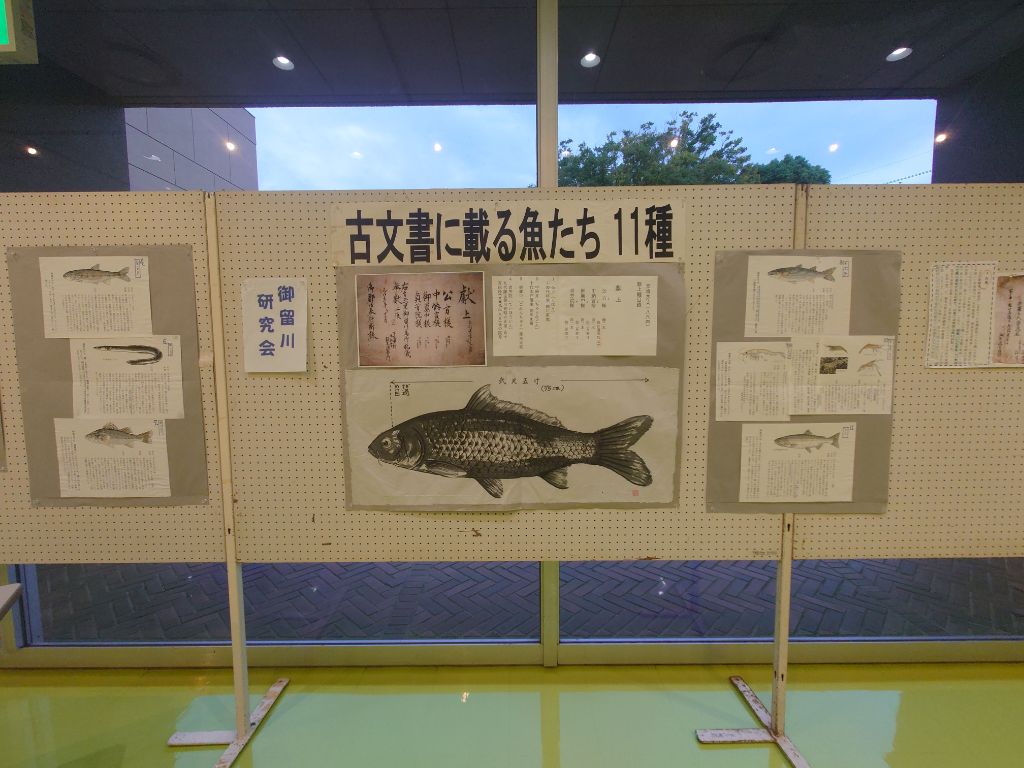 【画像2】玉里御留川を歩いて14年