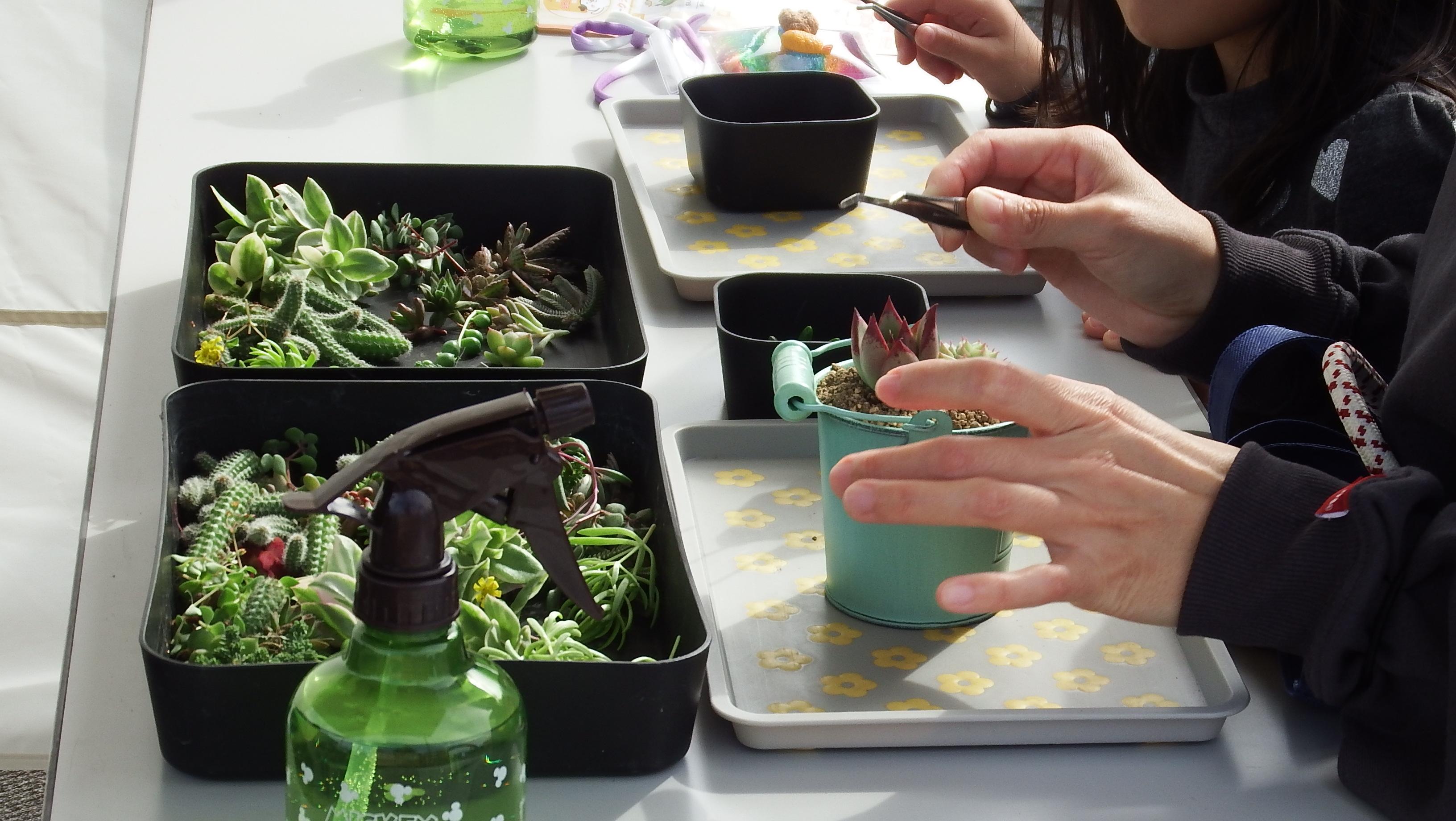 サキュレントハウス様写真 サキュレントハウス様写真