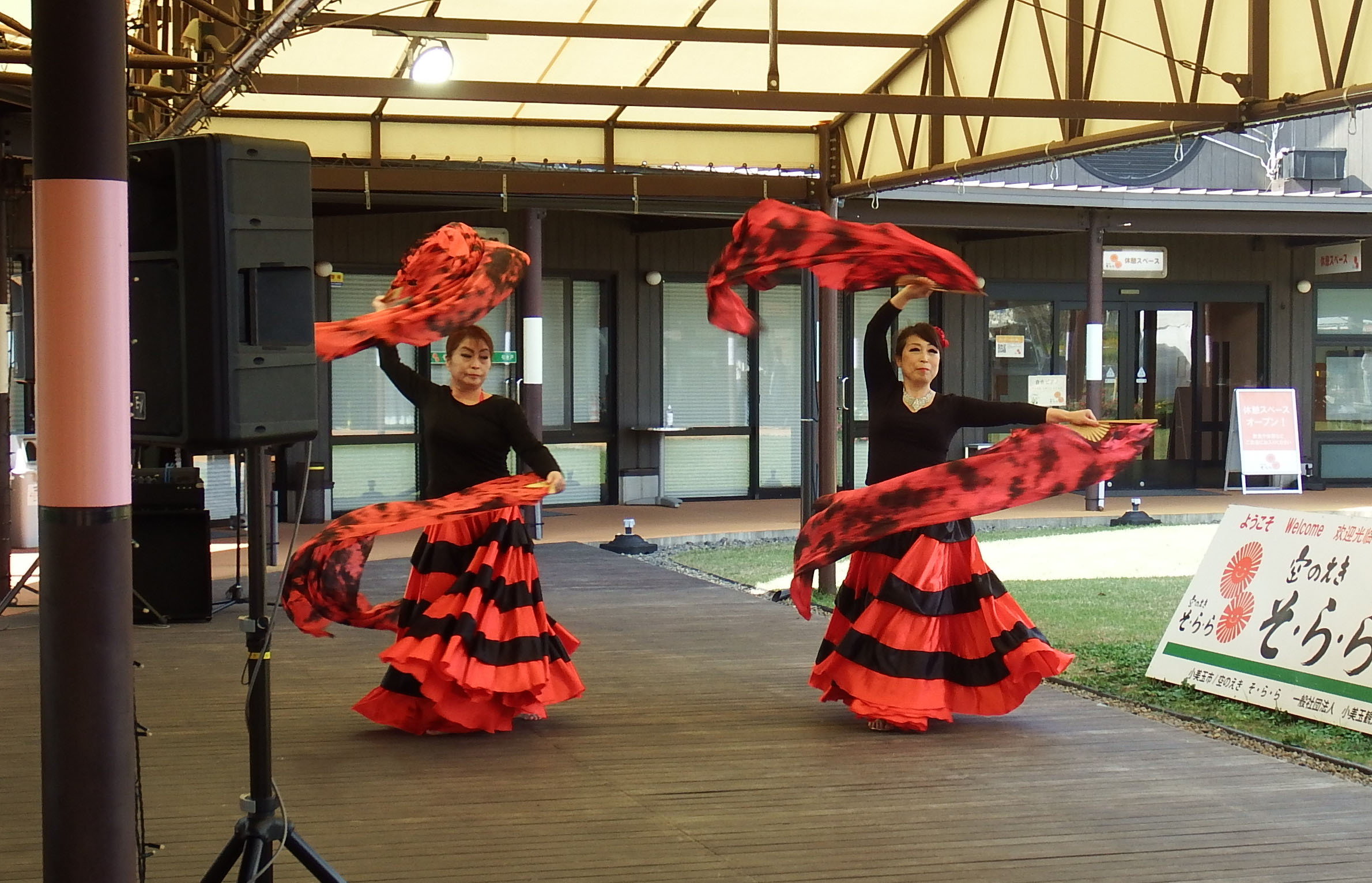 アルテシス写真5