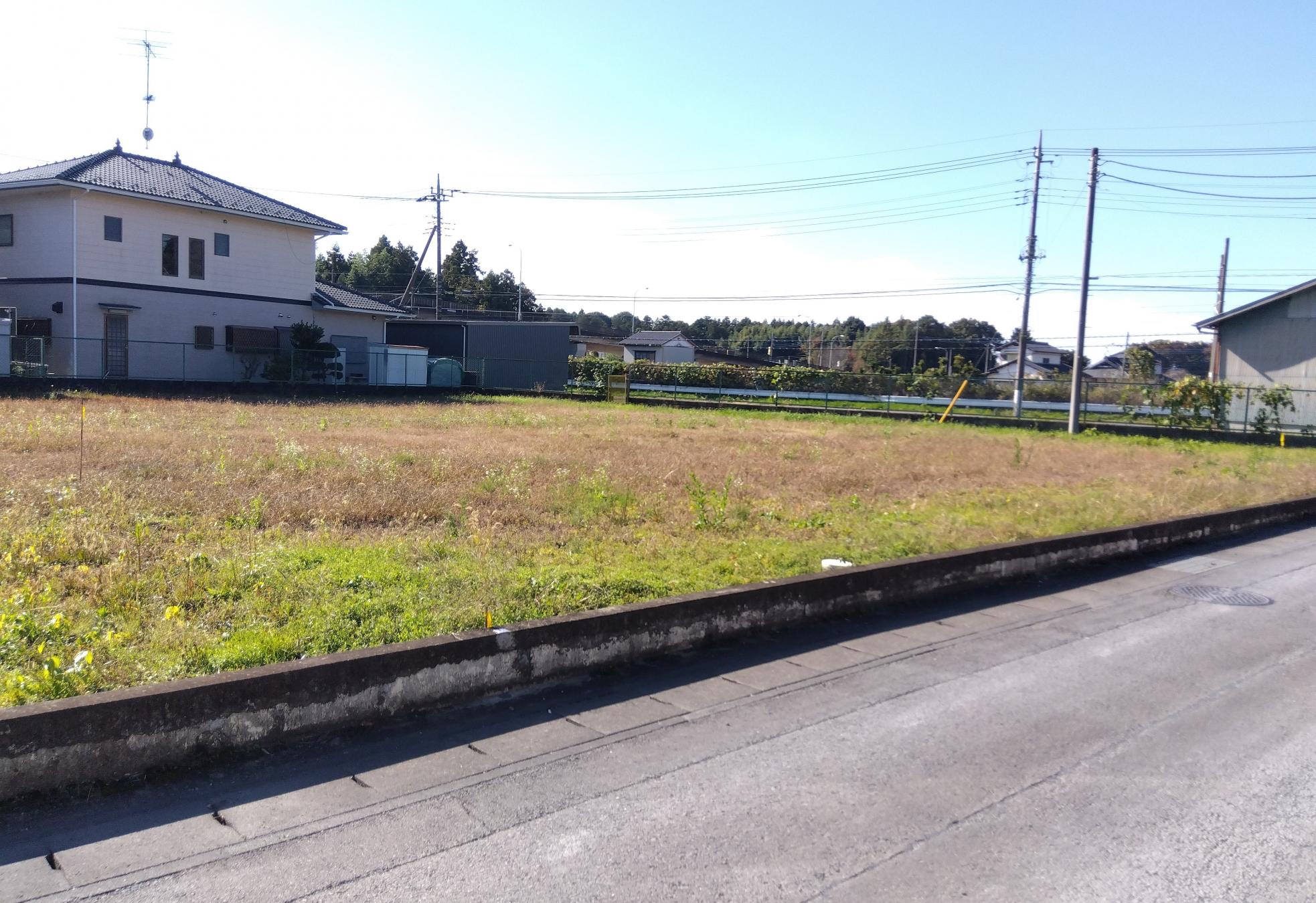 北東から(トリミング)