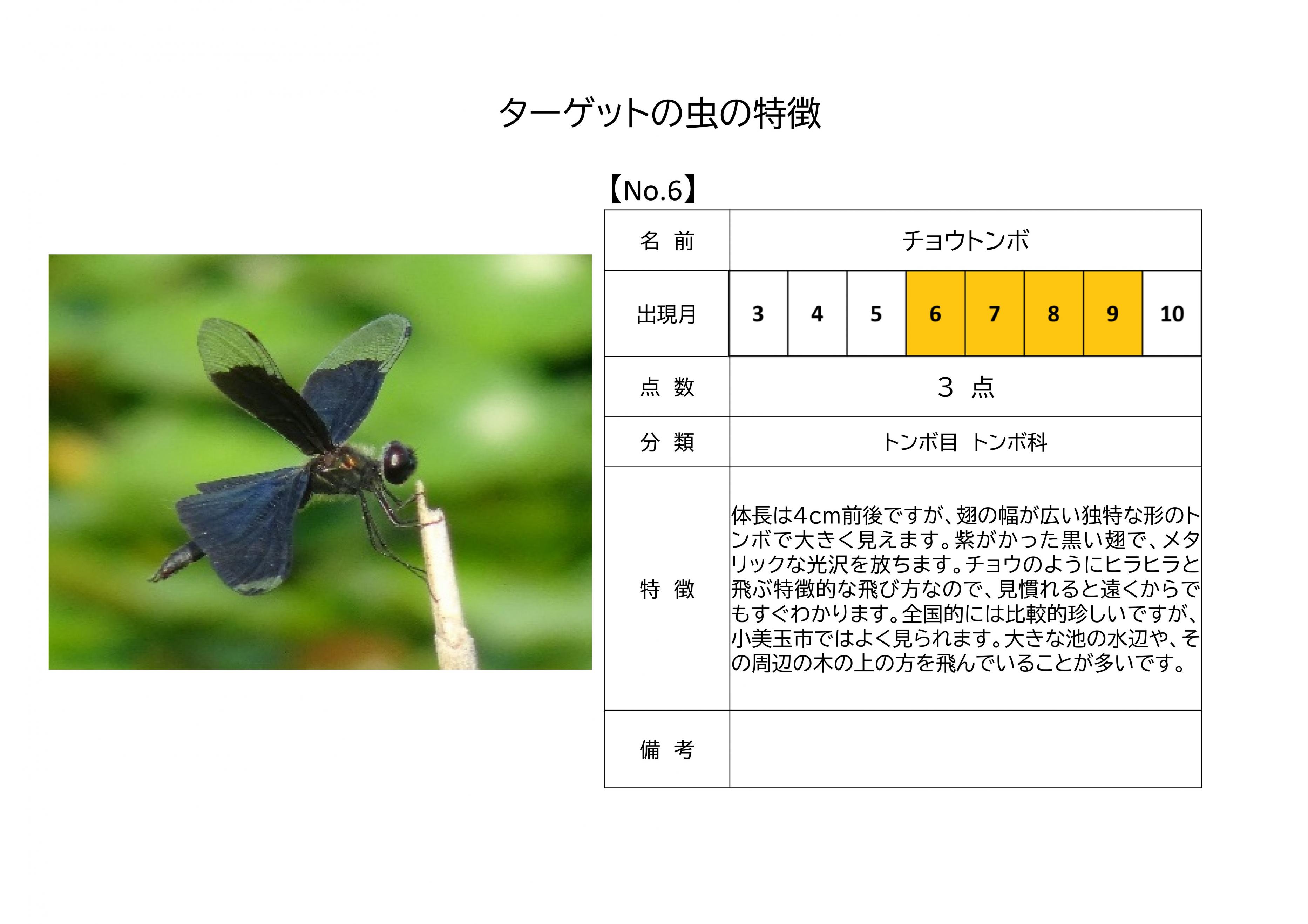 6.チョウトンボ