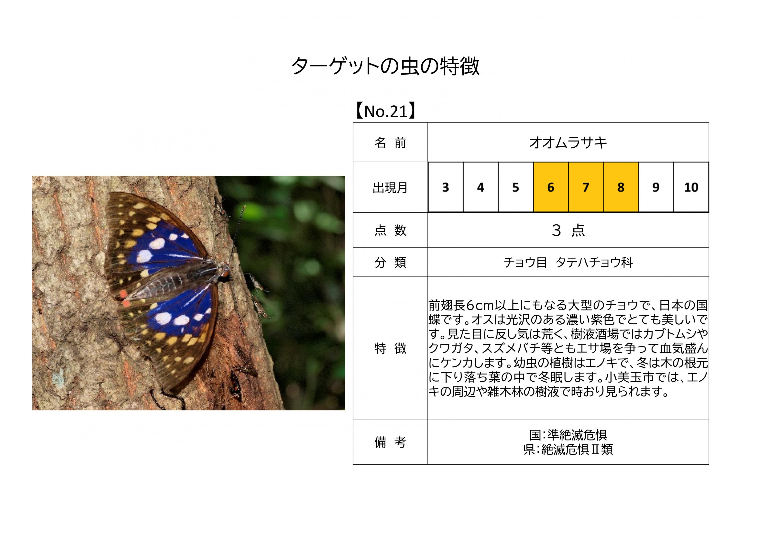 21.オオムラサキ