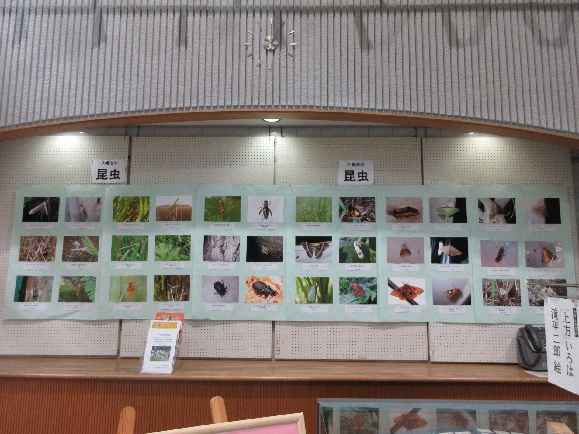 陽だまりスクエアの展示の様子