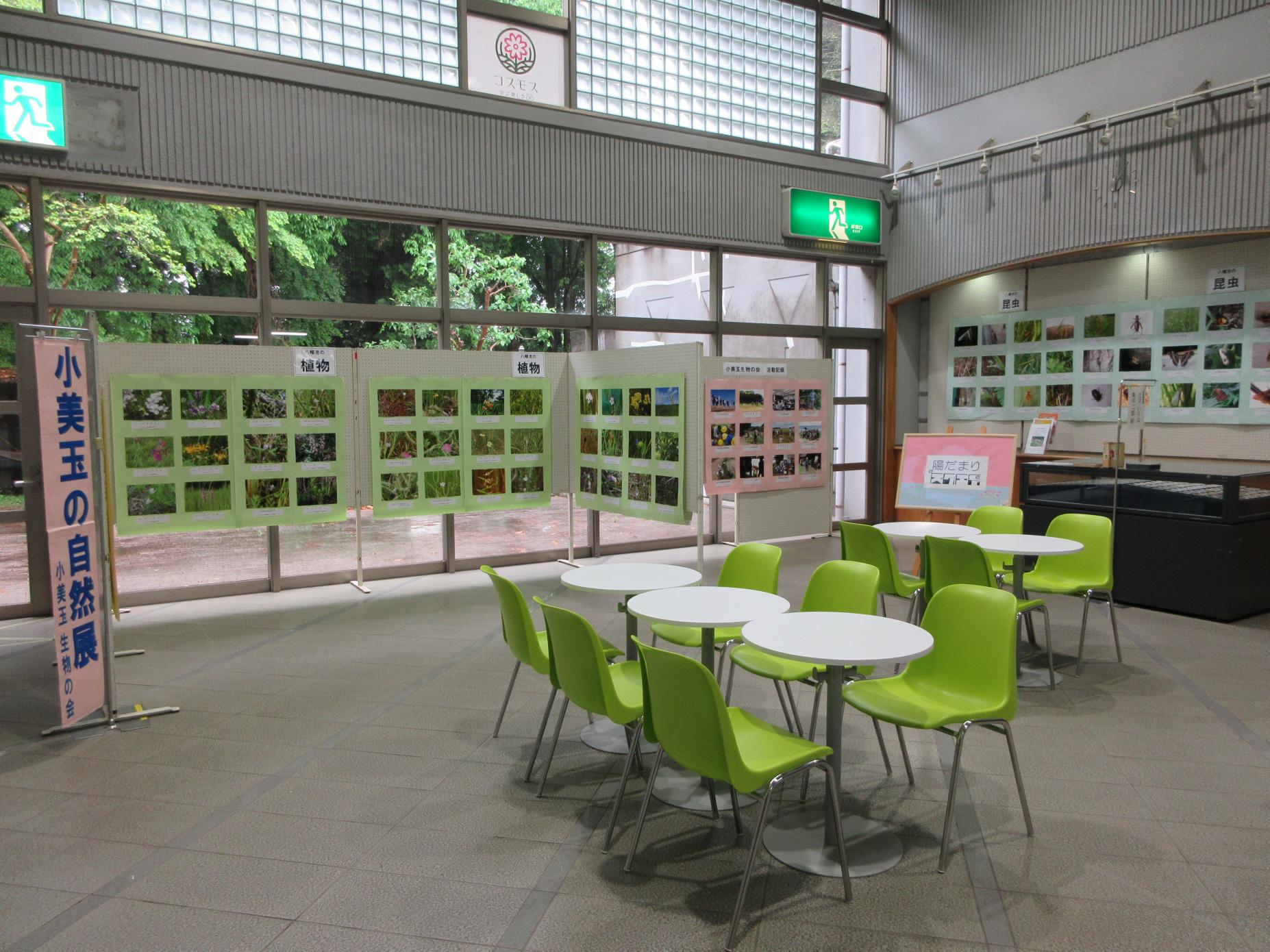 展示ホールの様子