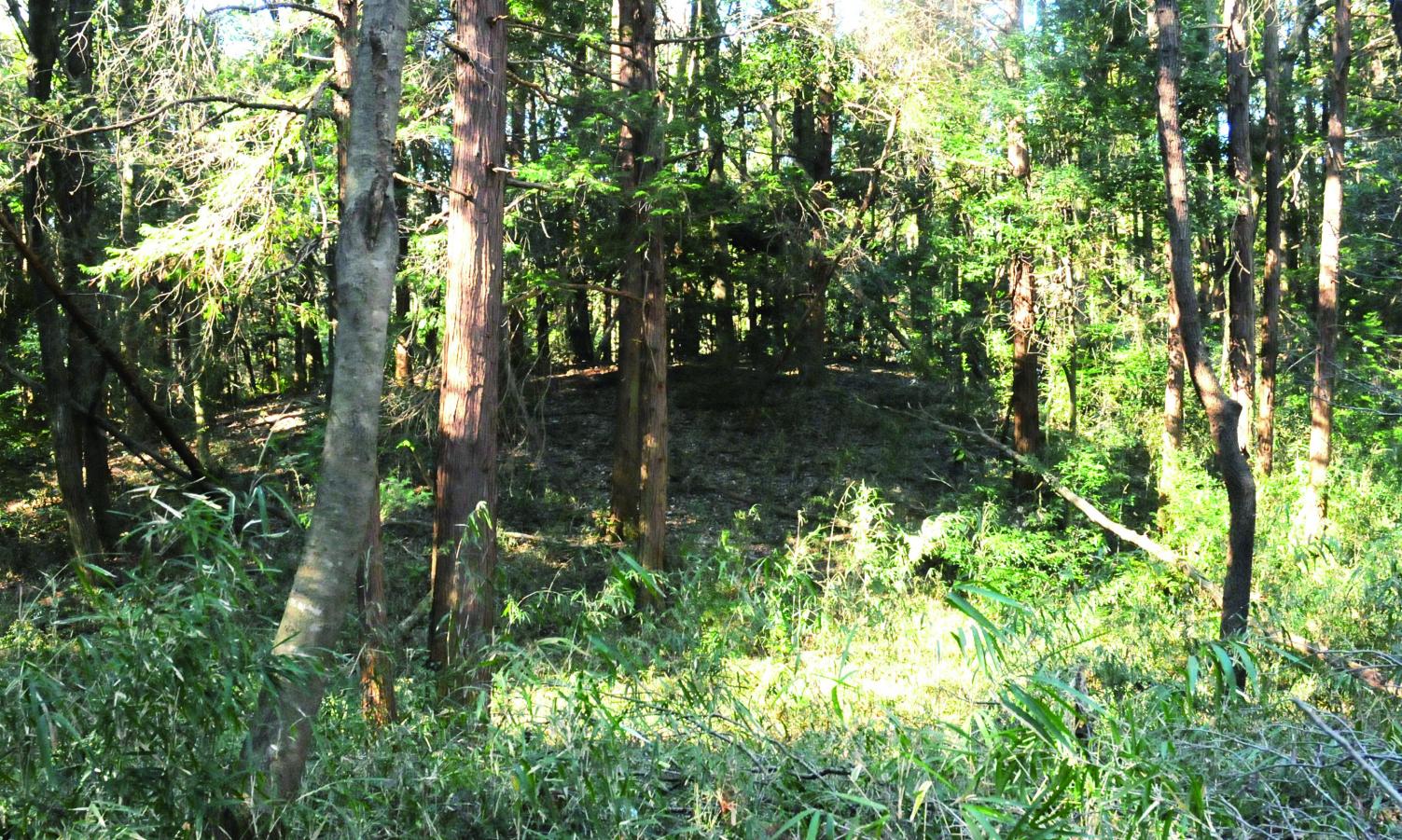 80愛宕山古墳