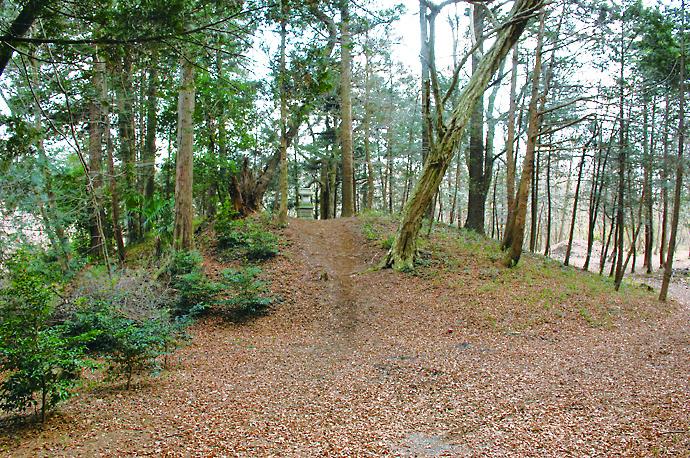 83稲荷山遺跡