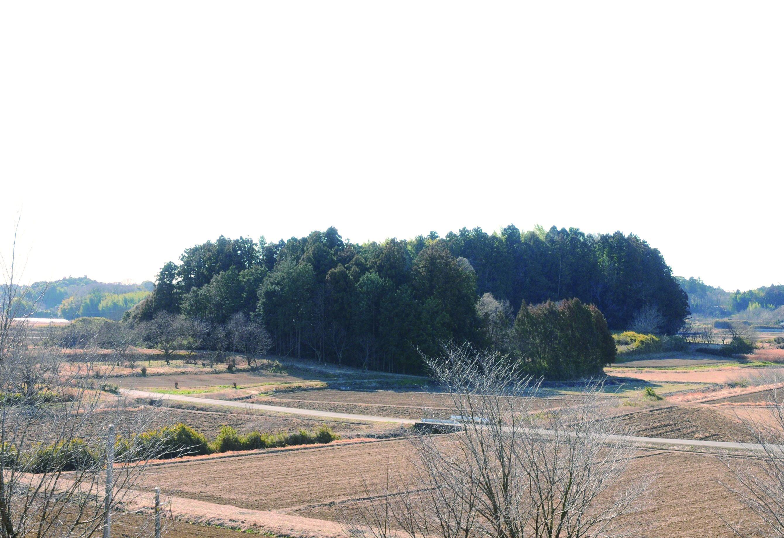 97竹原城跡