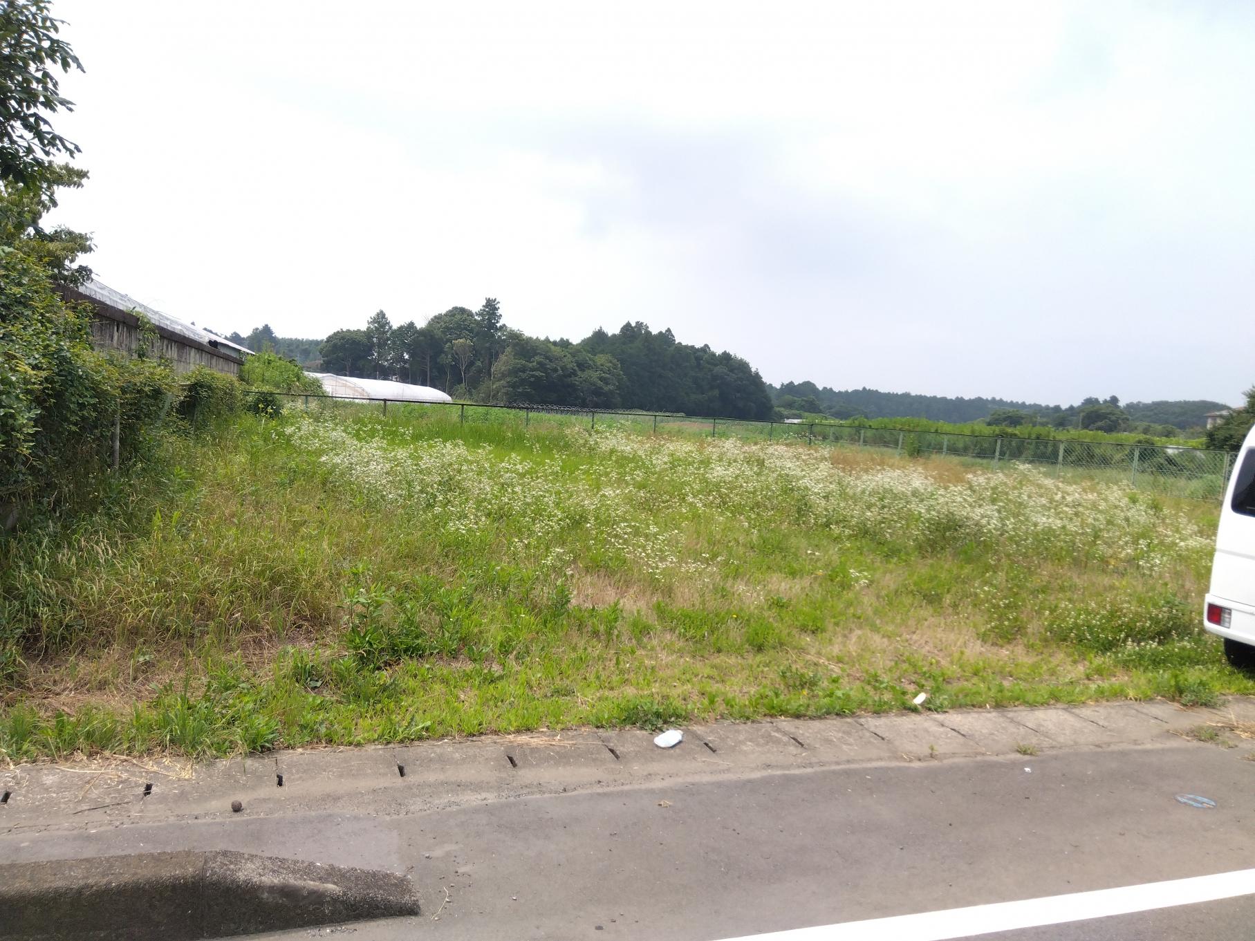 橘全景