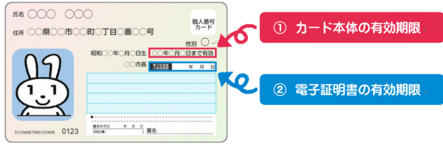 有効期限確認方法